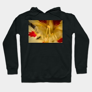 FLOWERS, NATURE’S Fashion Models Hoodie